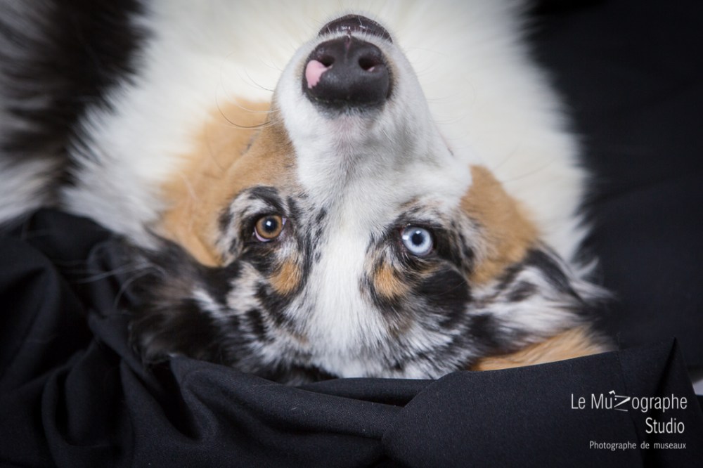 Loucky © Le MuZographe