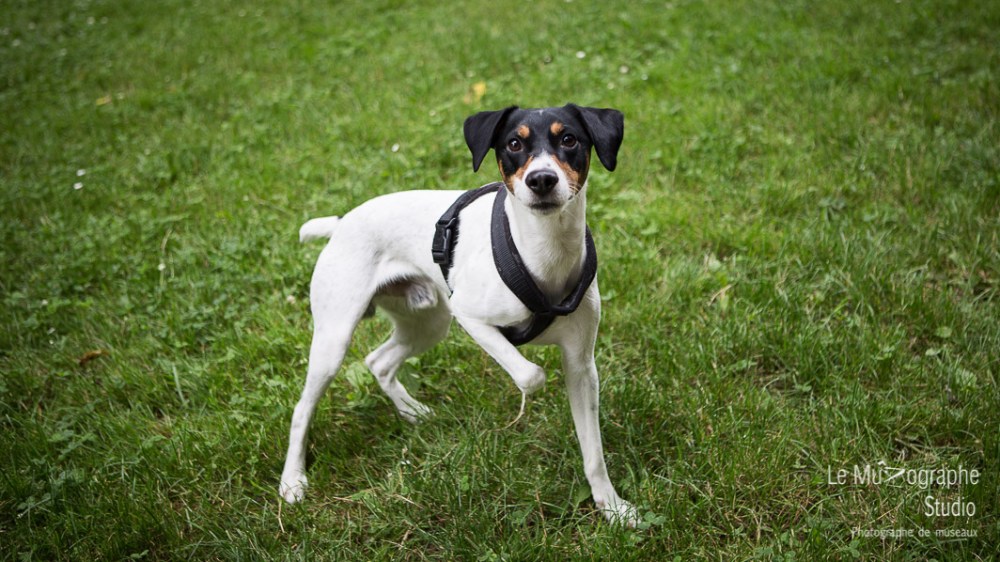 Djack © Le MuZographe