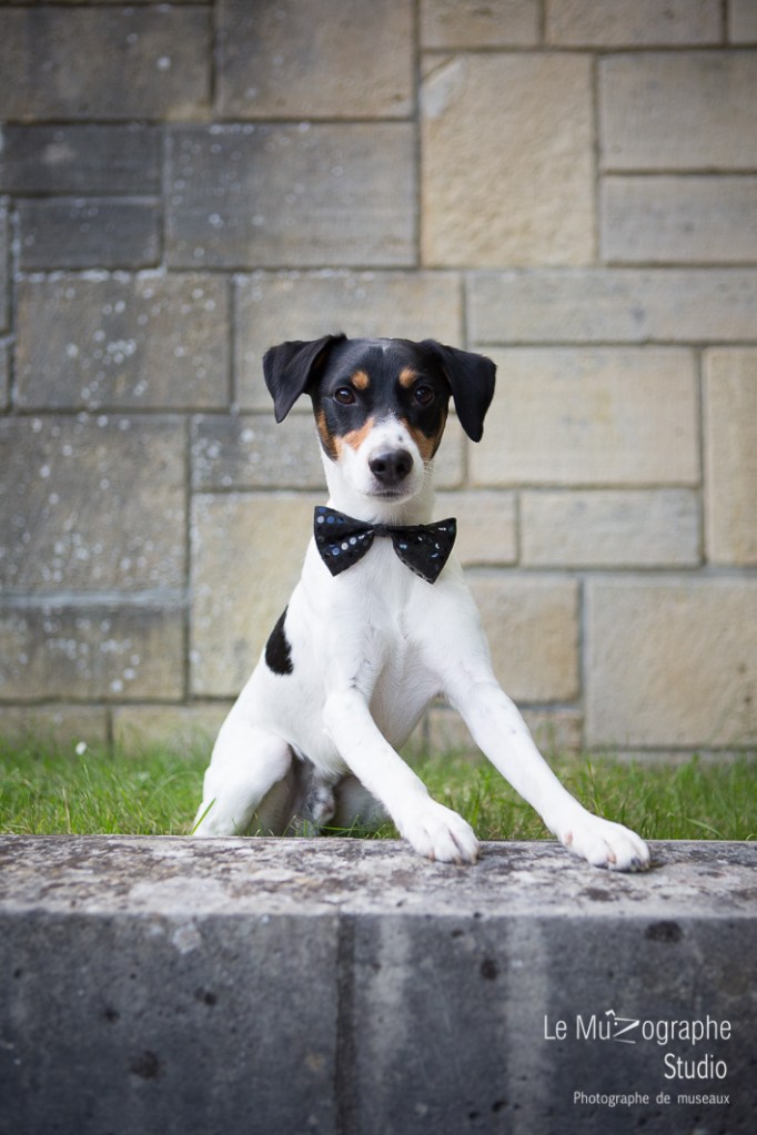 Djack © Le MuZographe