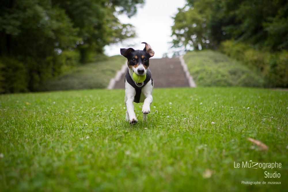 Djack © Le MuZographe