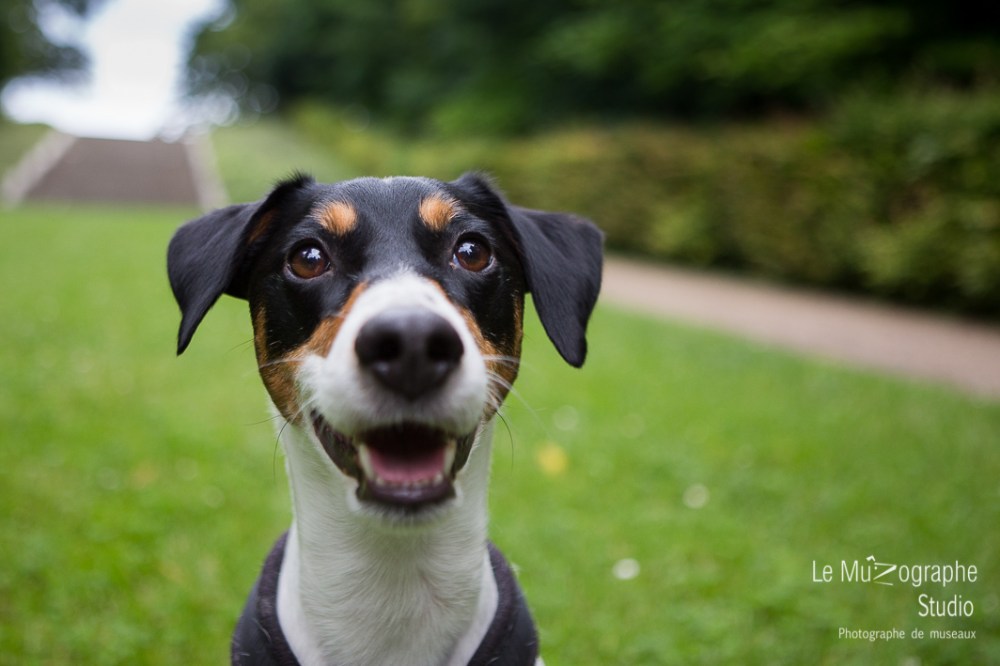 Djack © Le MuZographe