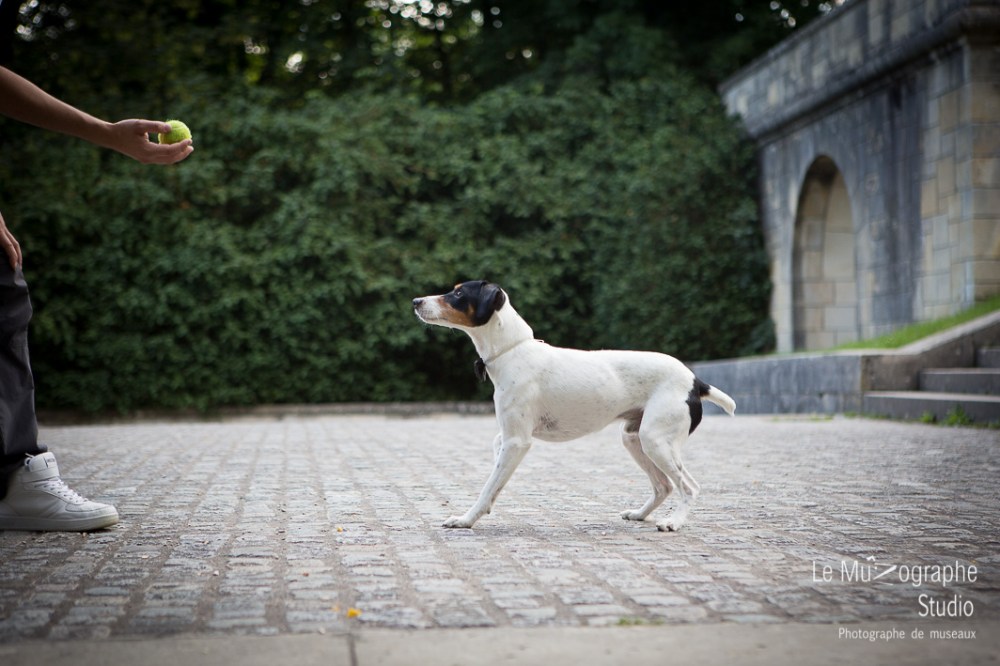 Djack © Le MuZographe