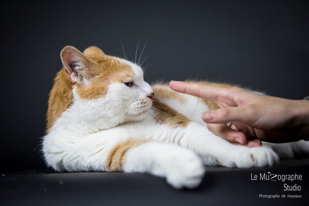 Caramel © Le MuZographe