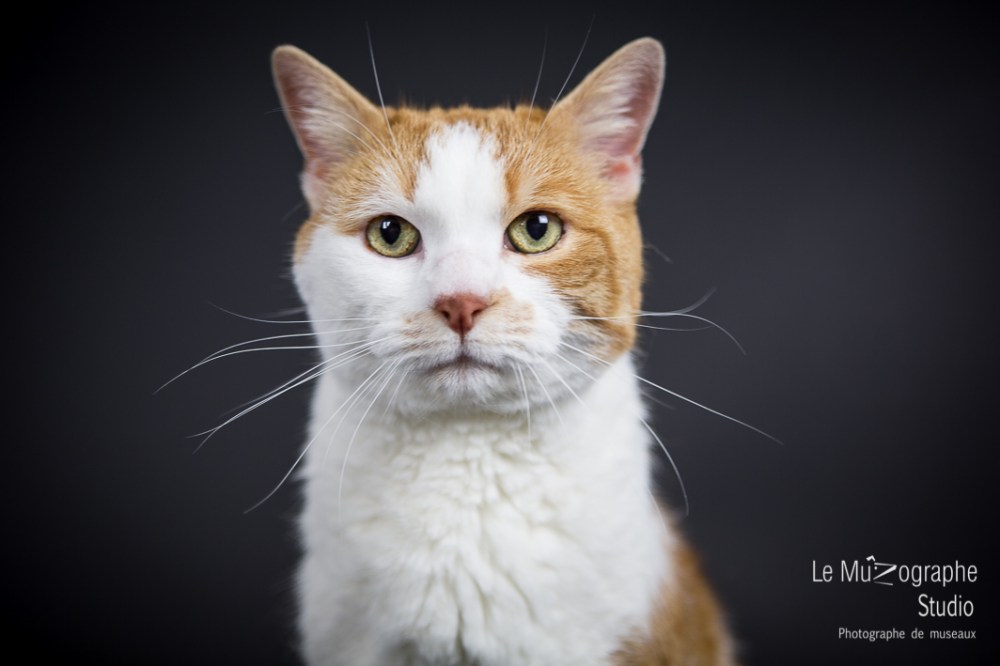 Caramel © Le MuZographe