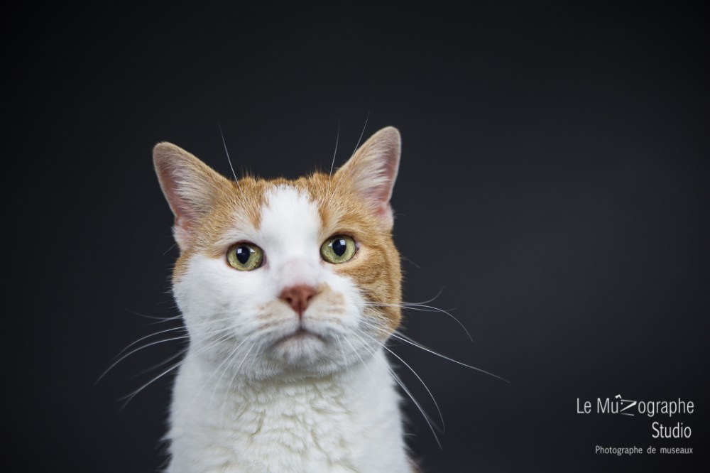 Caramel © Le MuZographe