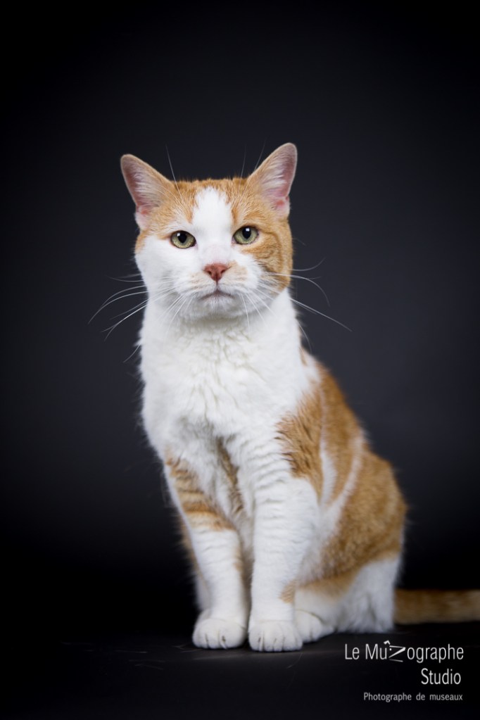 Caramel © Le MuZographe