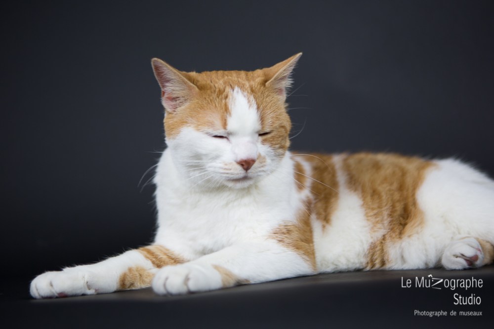 Caramel © Le MuZographe