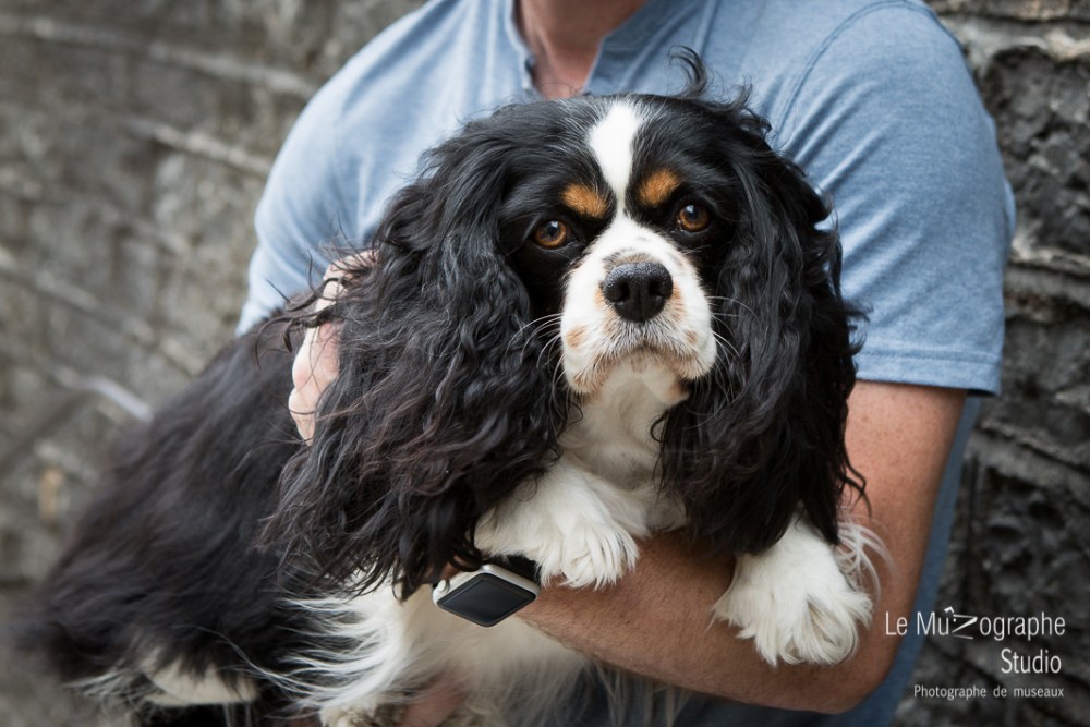 Fidji à Bourges © Le MuZographe