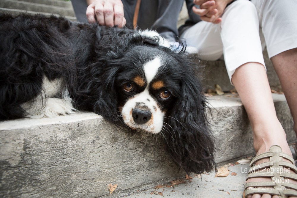 Fidji à Bourges © Le MuZographe