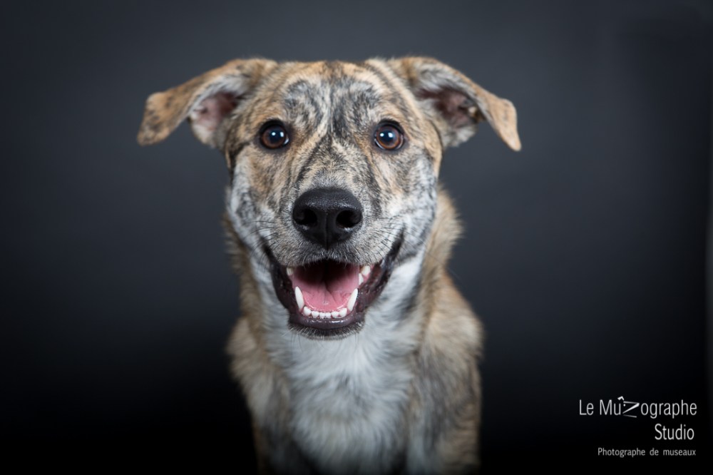 Bankiz © Le MuZographe