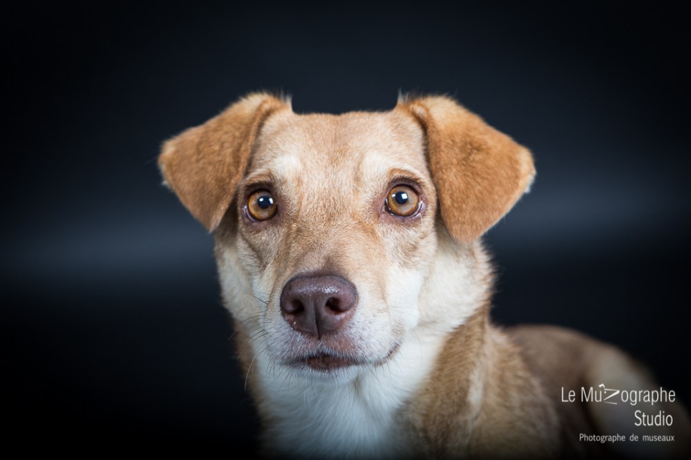 Sheena © Le MuZographe