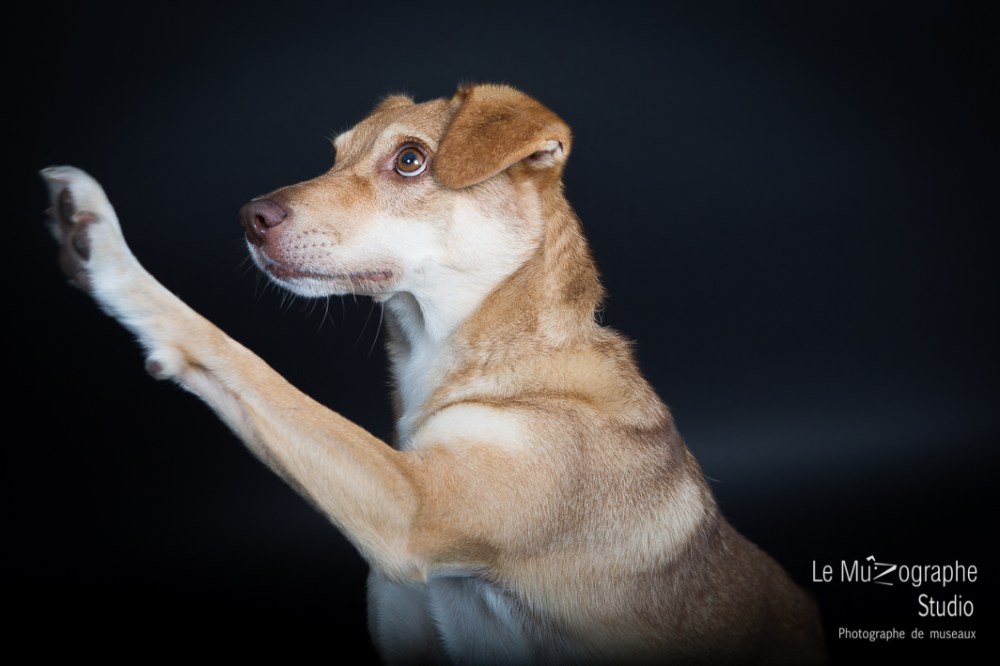 Sheena © Le MuZographe