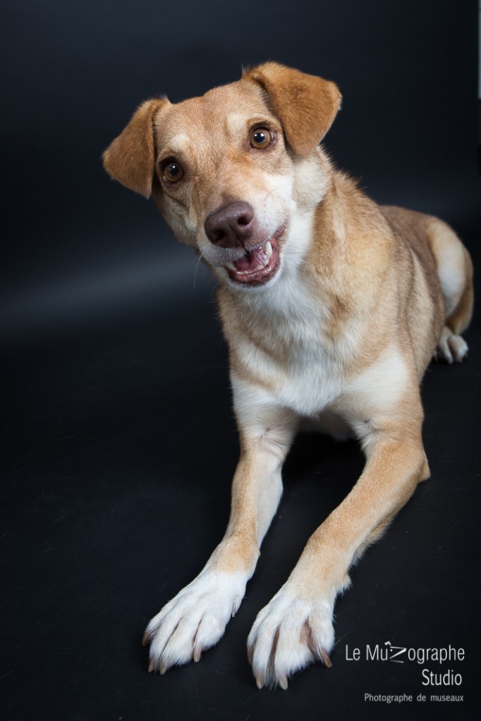 Sheena © Le MuZographe