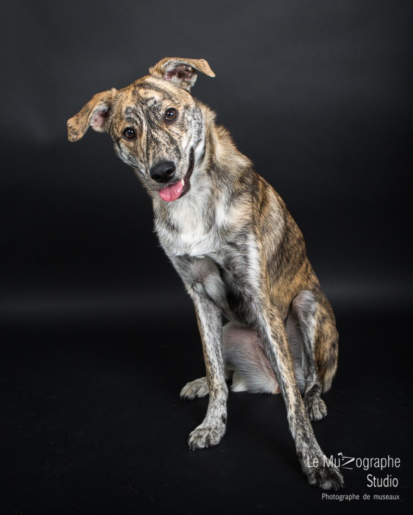 Bankiz © Le MuZographe