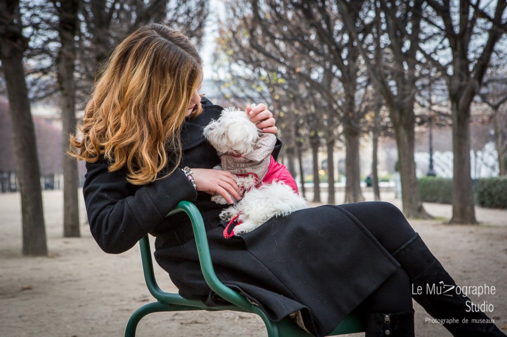 Chipie, bébé bichon © Le MuZographe