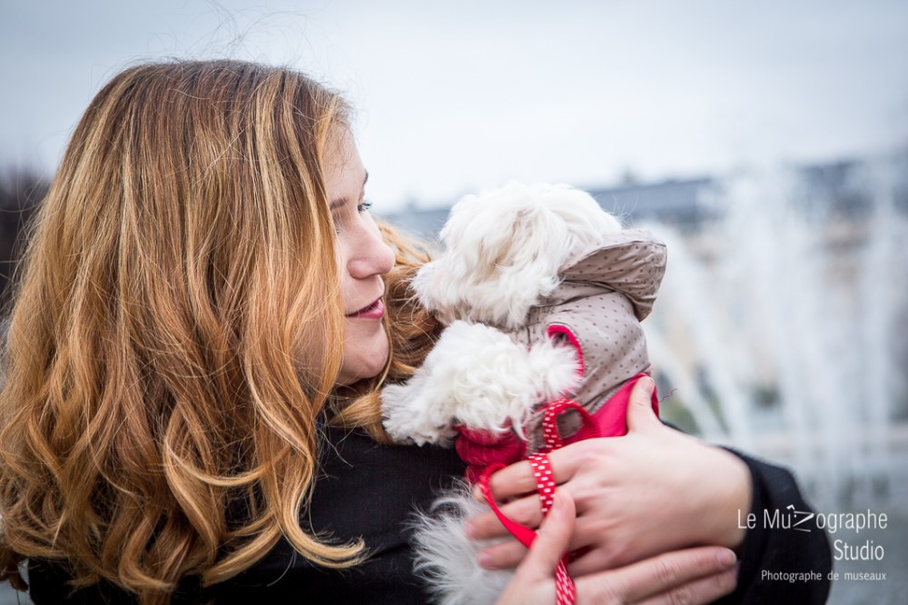 Chipie, bébé bichon © Le MuZographe