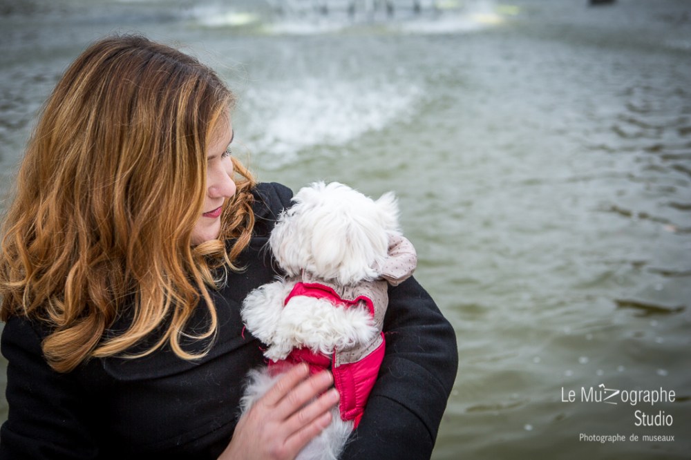 Chipie, bébé bichon © Le MuZographe