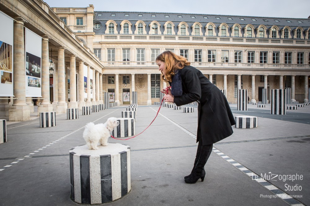 Chipie, bébé bichon © Le MuZographe