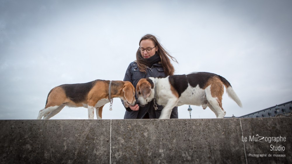 Guinness et Viking © Le MuZographe