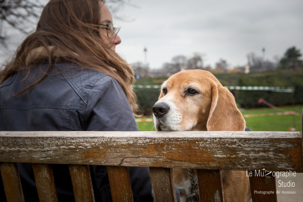 Guinness © Le MuZographe