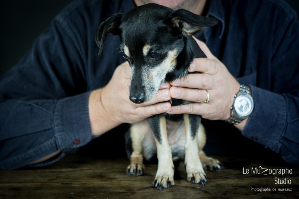 Nana, pinscher senior © Le MuZographe
