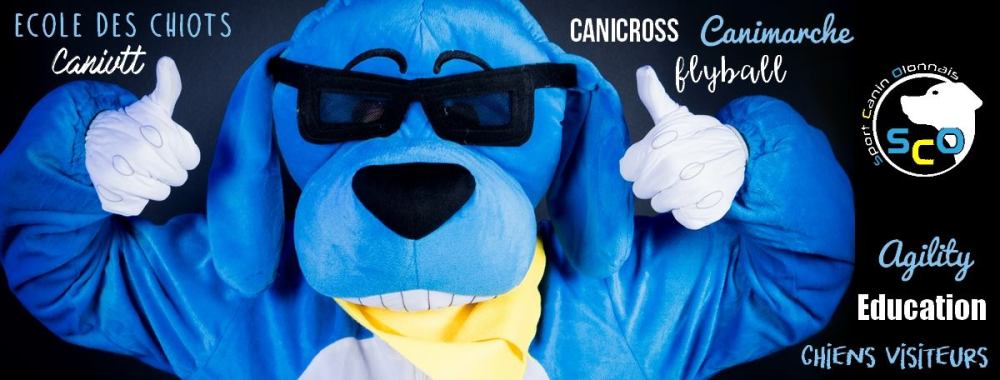 Visuel bandeau facebook du Sport Canin Olonnais