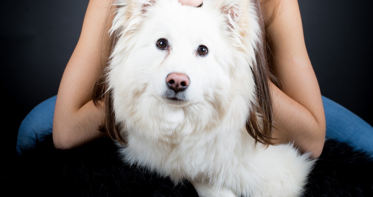 Maitresse et Finois de Laponie, Bourges, Nathalie Tiennot