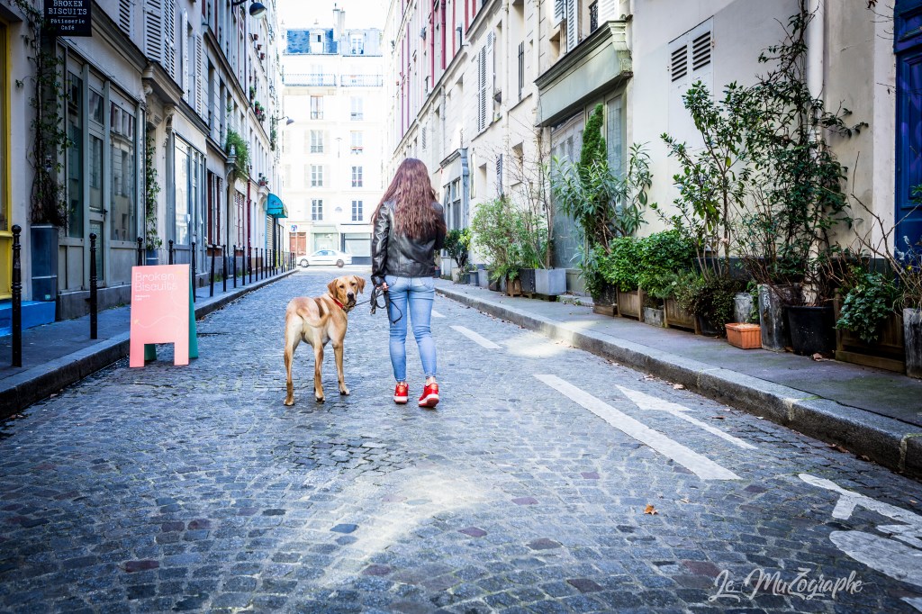 un binôme maitre et chien au square gardette