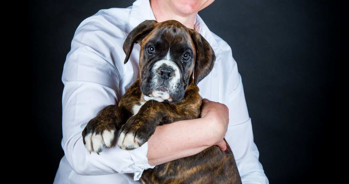 Portrait en studio maitre chien en Berry