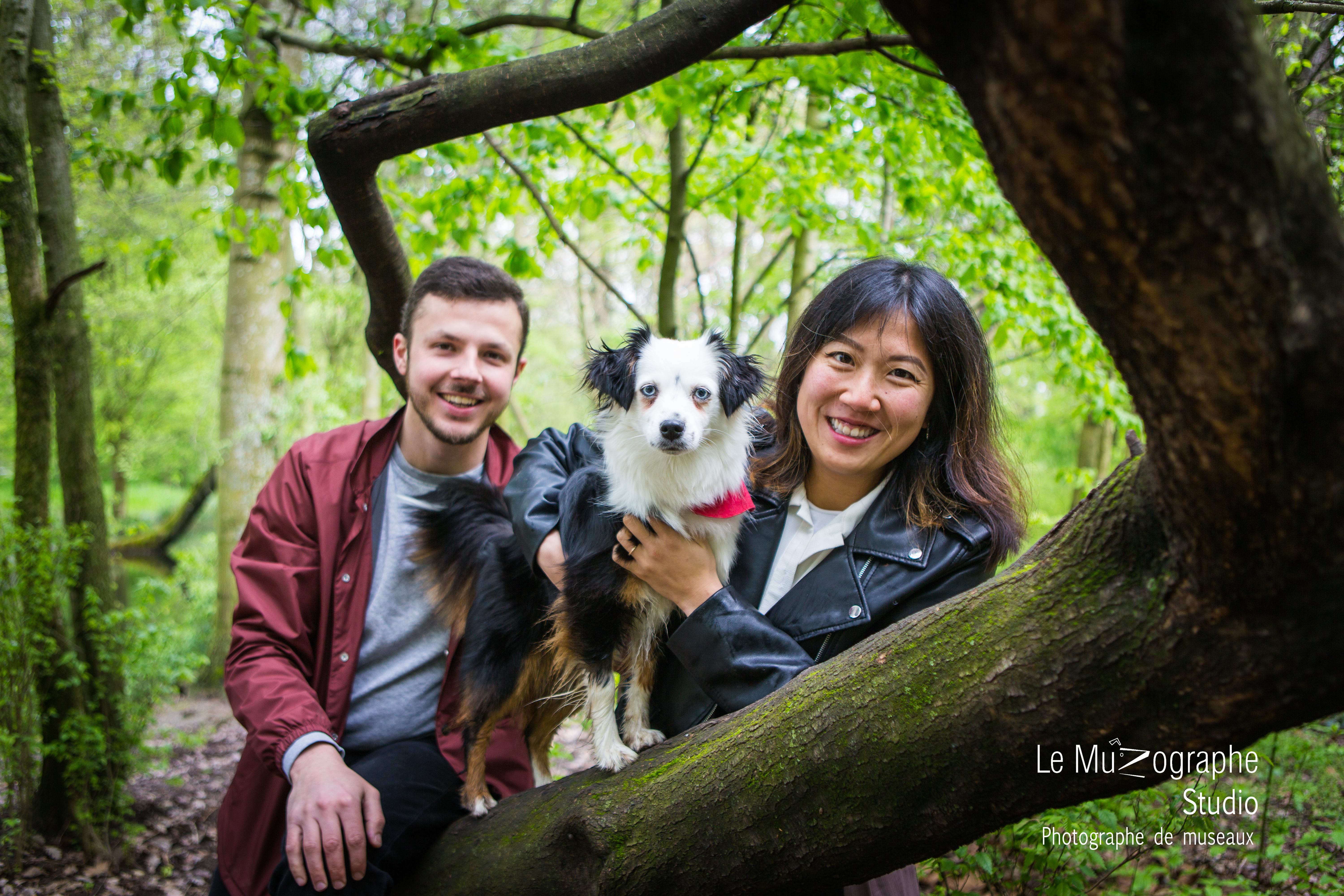 photographe pour chien Toulouse, Nathalie Tiennot © Le Muzographe