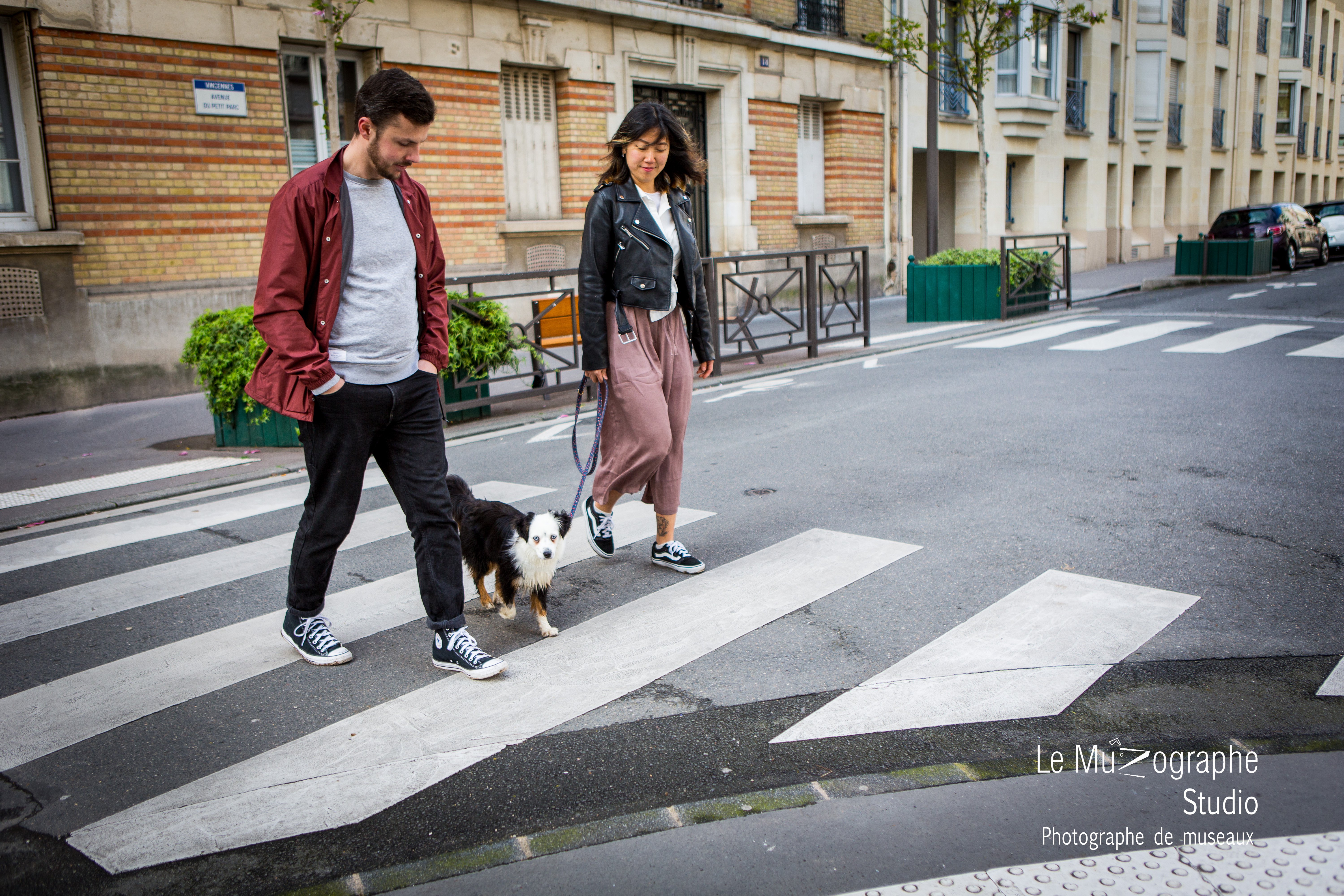 photographe professionnel pour chien Vincennes, Nathalie Tiennot © Le Muzographe