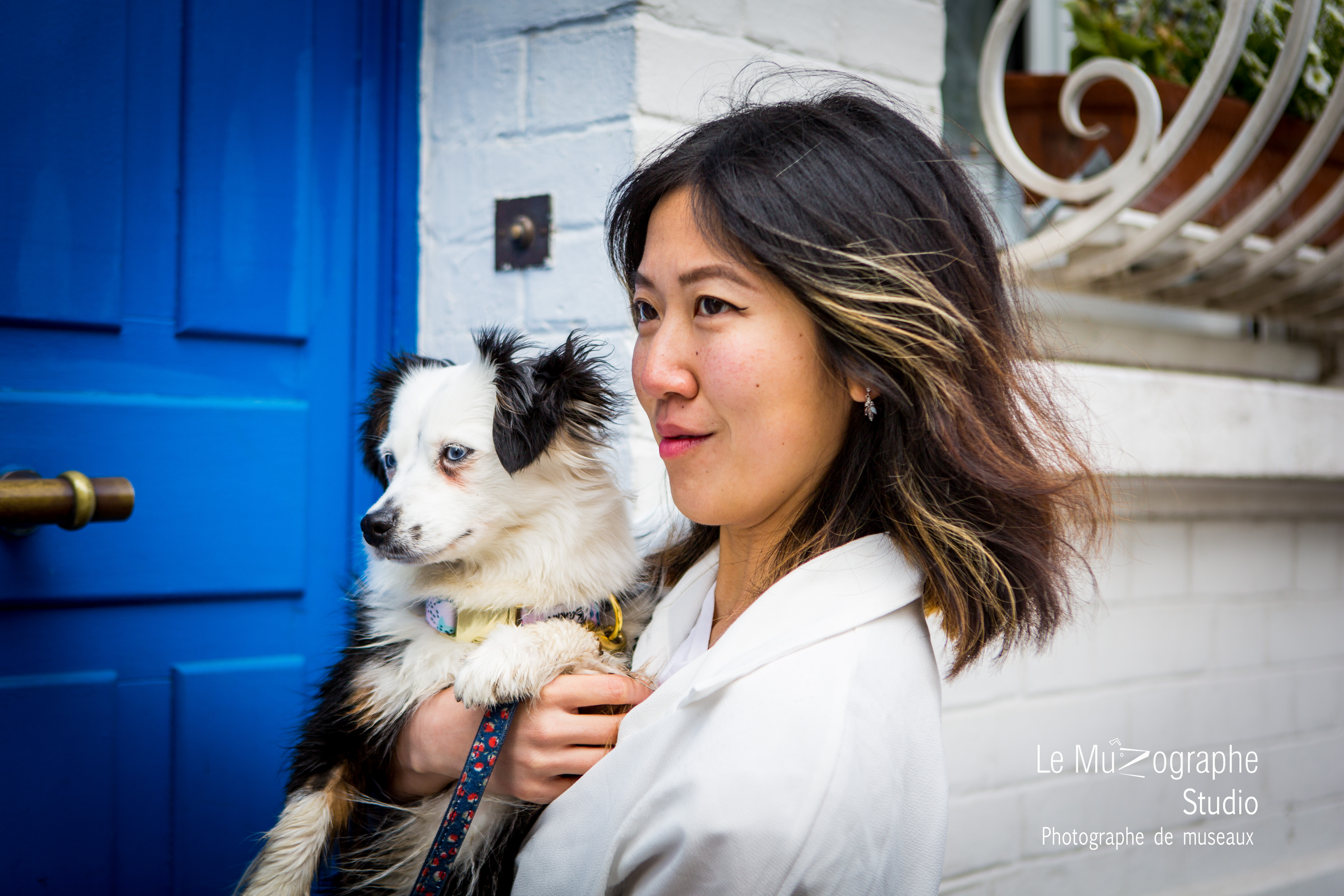 Séance photo cadeau pour chien et chat, Paris, Bourges, Montluçon, Toulouse Bordeaux