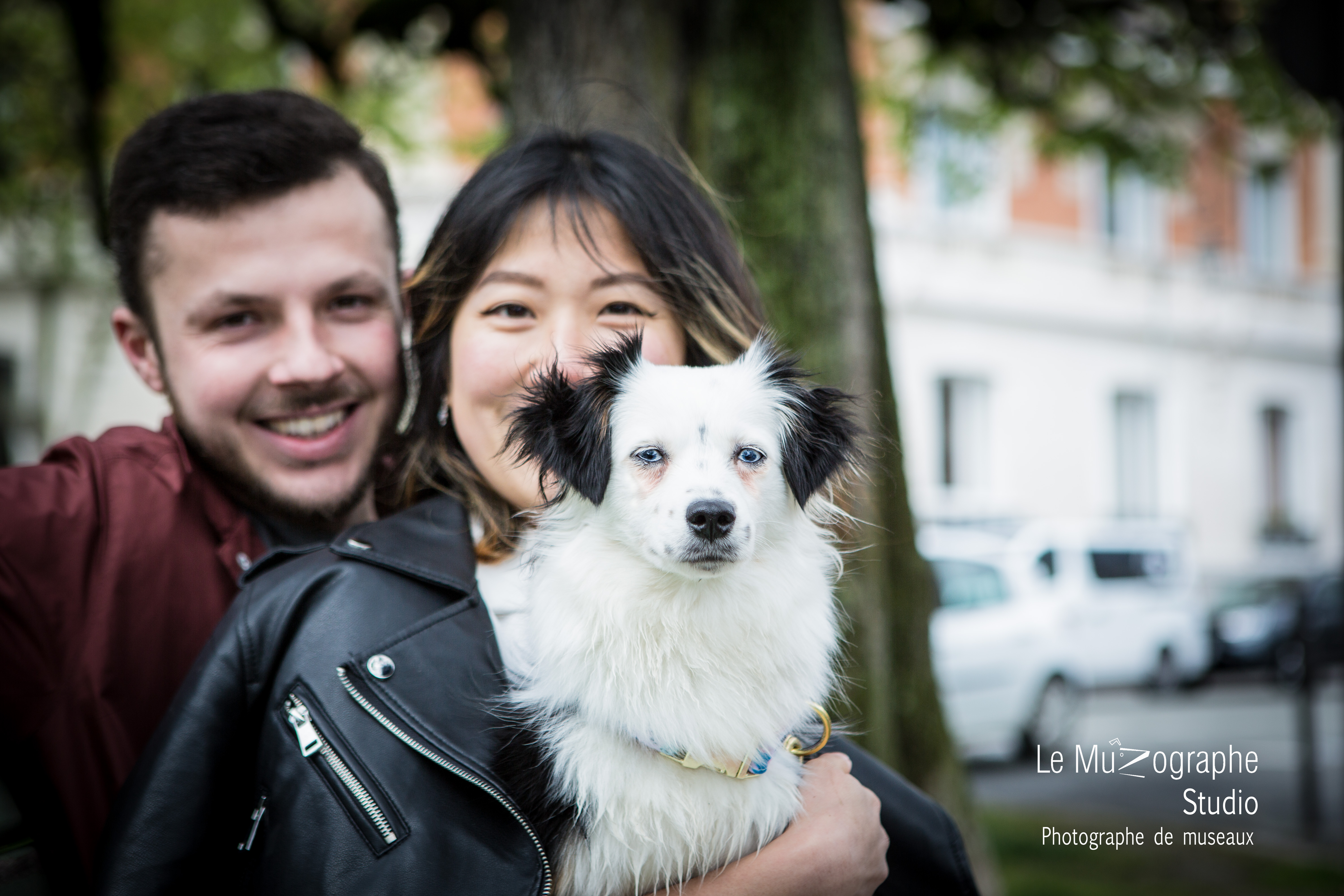 Offrir séance photo à son chien son chat, Paris, Bourges, Bordeaux, Toulouse