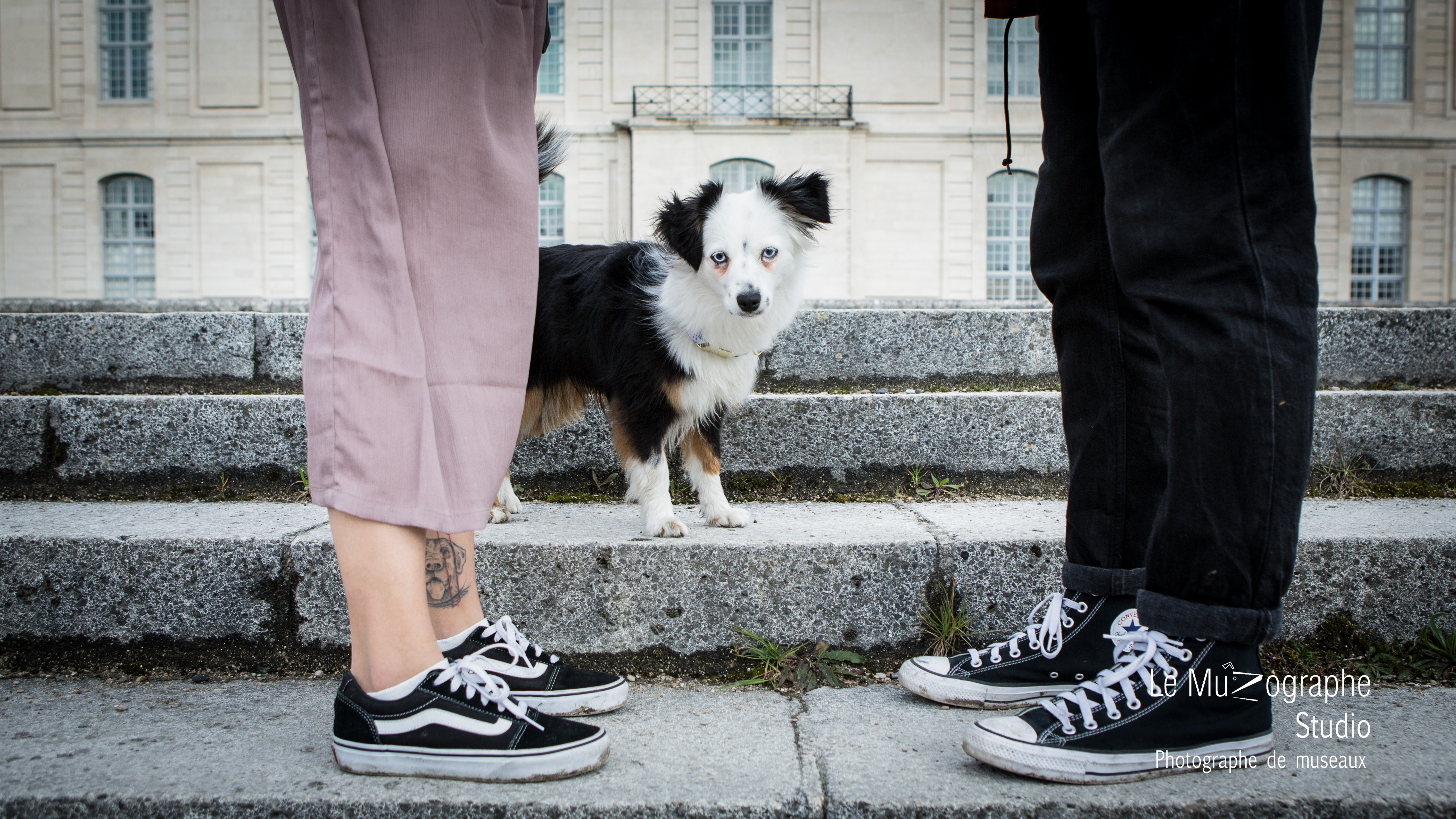 Séance photo Maîtres et chien, bon cadeau Nathalie Tiennot, le muzographe