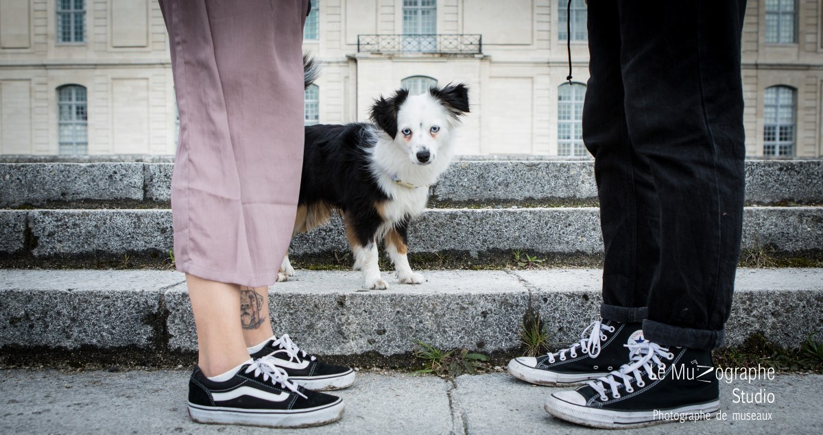 Séance photo Maîtres et chien, bon cadeau Nathalie Tiennot, le muzographe