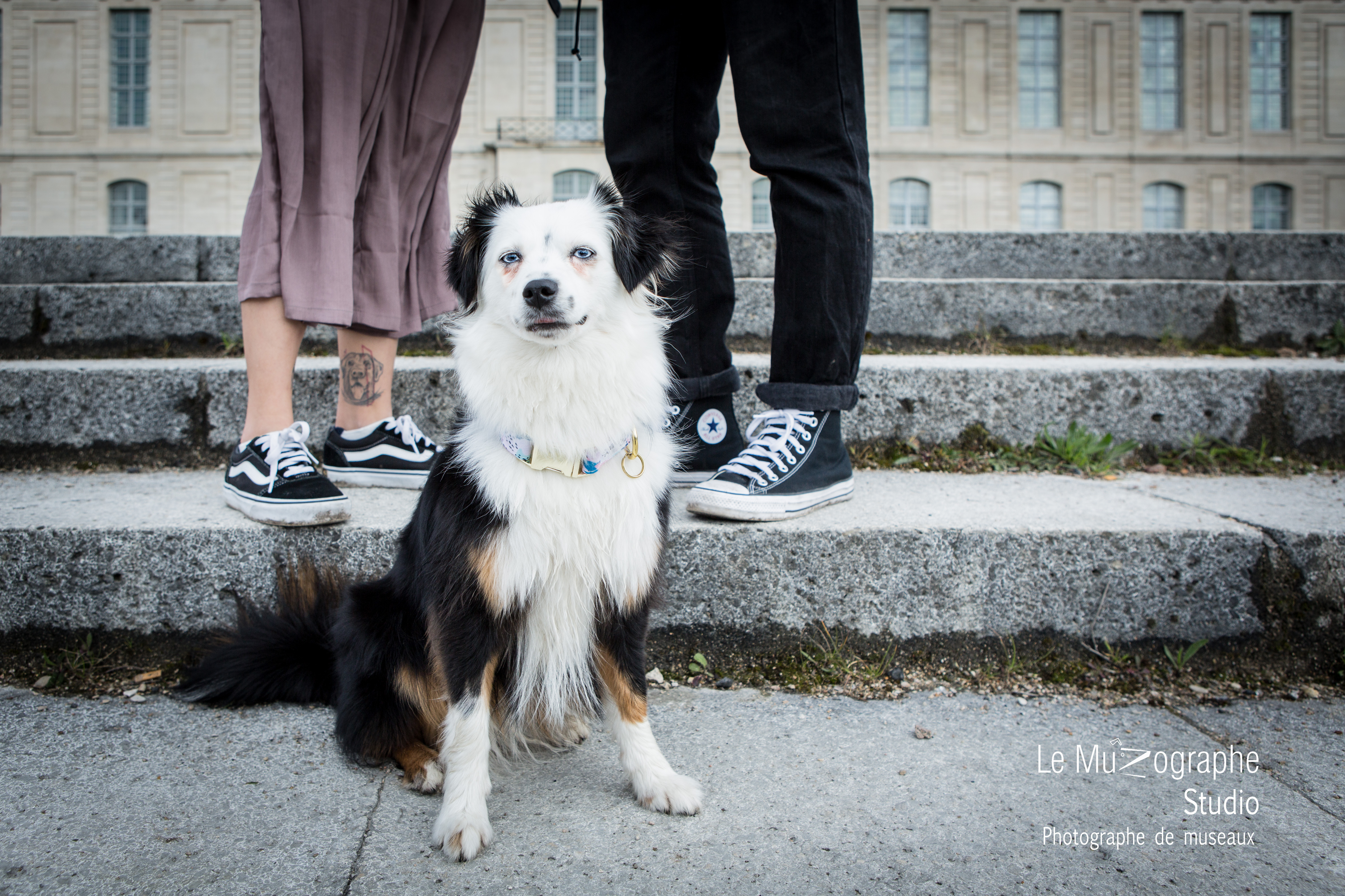 Séance photo complice avec chien berger américain, Nathalie Tiennot, le muzographe