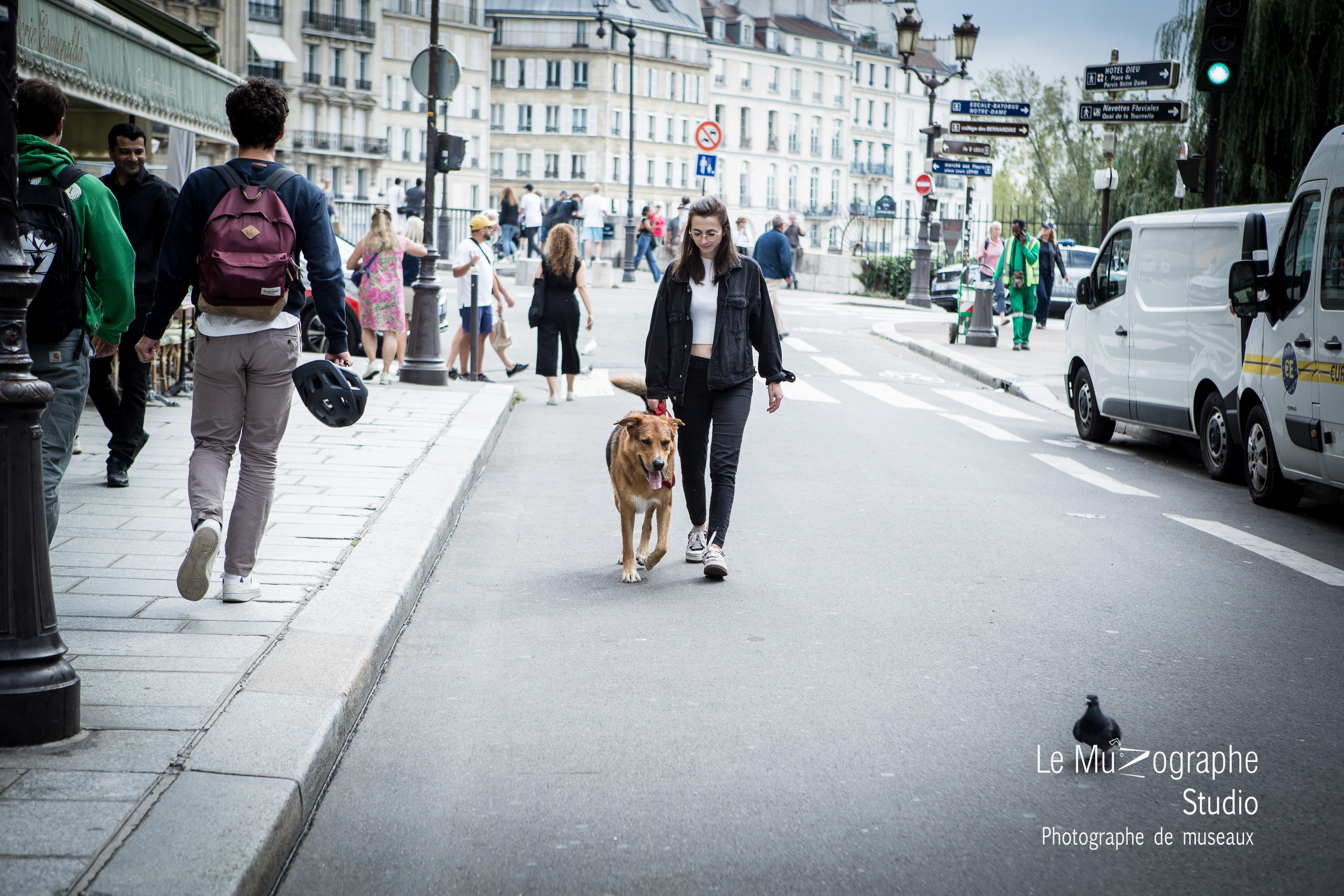 Photographe animal de compagnie street photography par Nathalie Tiennot photographe