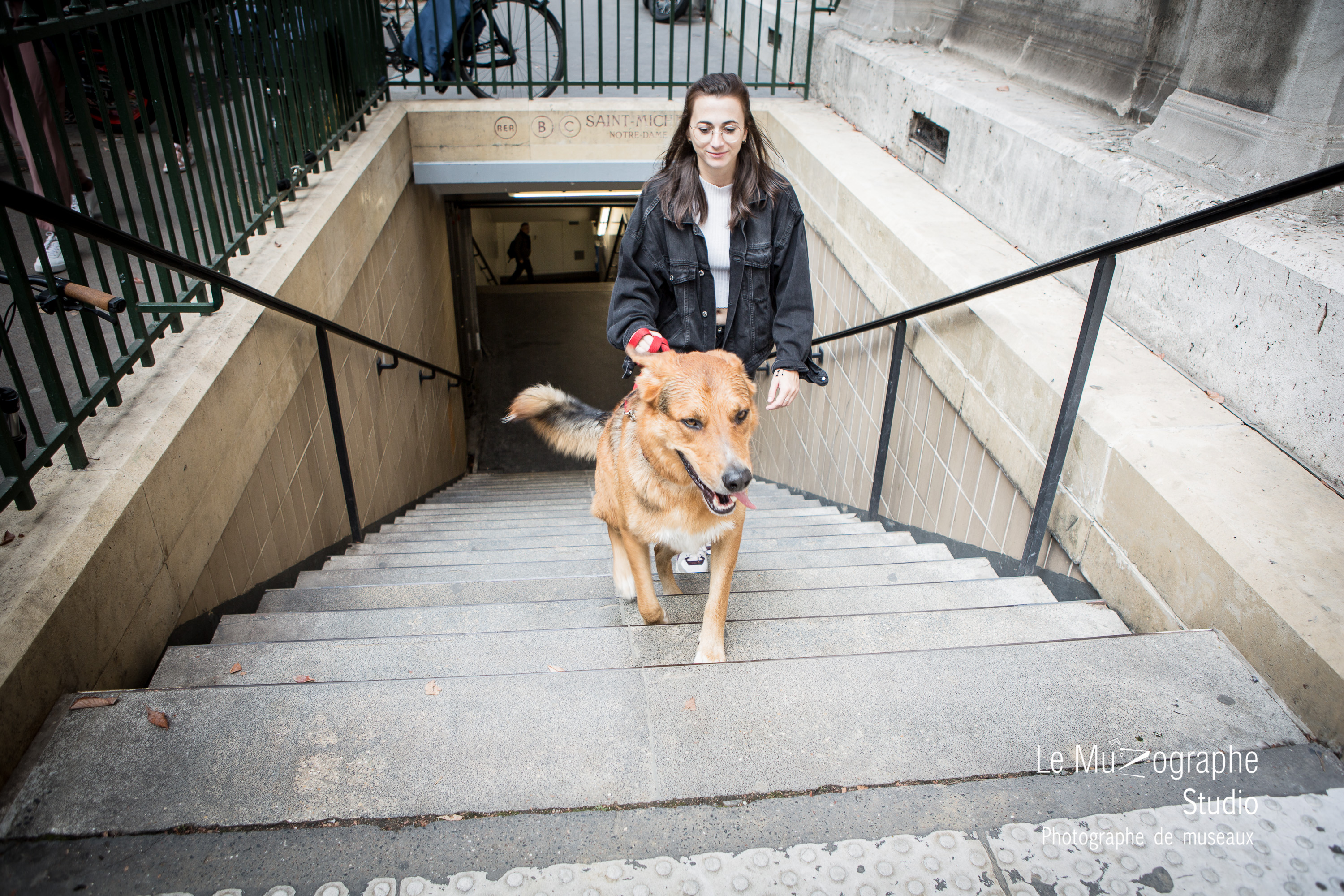 Reportage photo chien à Paris @le muzographe
