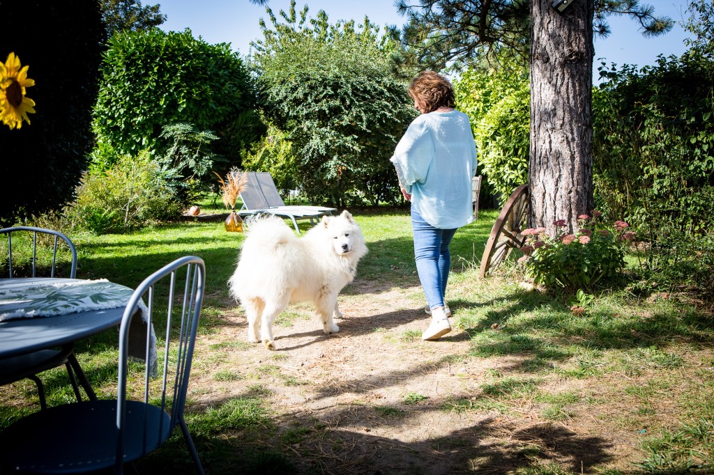 Séance cadeau Noël, animaux de compagnie, shooting photo en exterieur en interieur