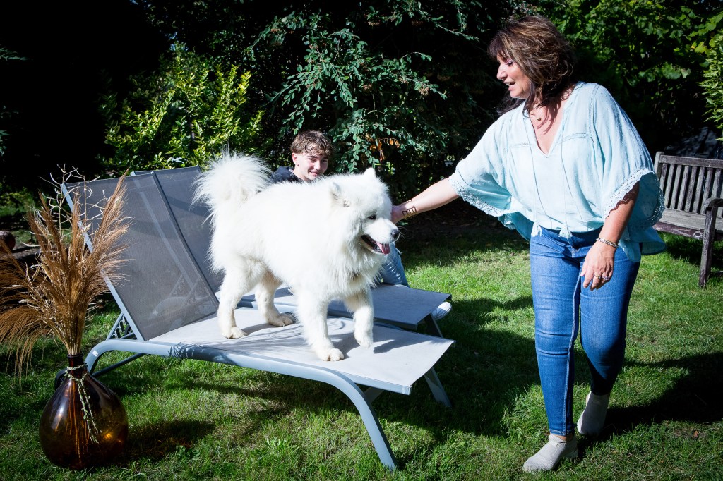 Photographe pour chien et chat, Cadeau Noël, Saint valentin