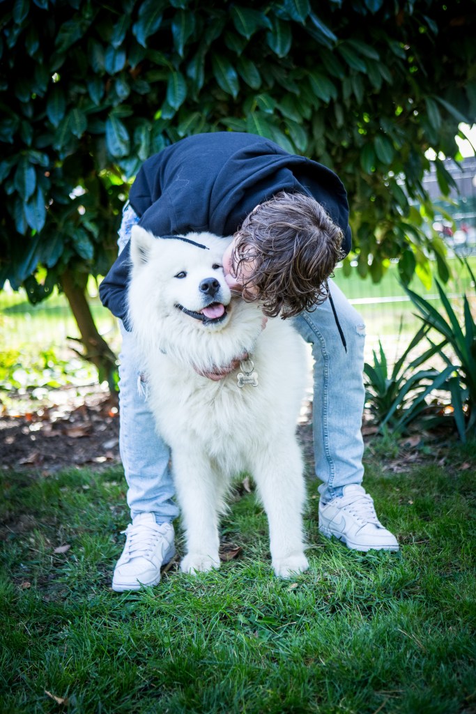 Idée cadeau shooting chien et chat, animaux de compagnie