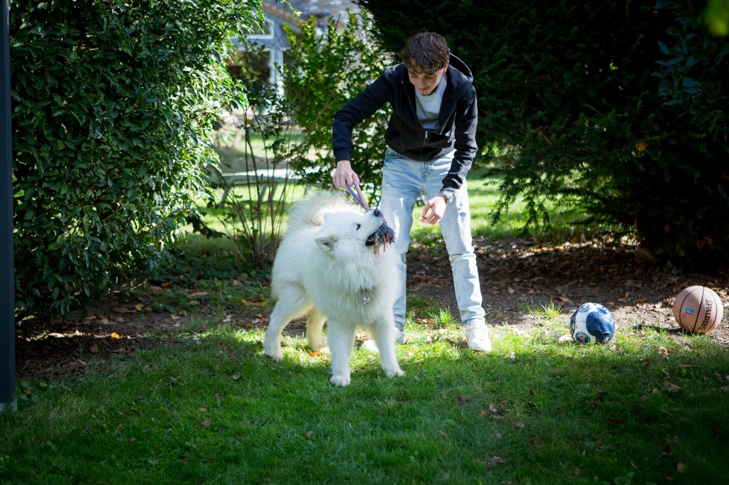 Reportage photo famille avec chiens et chats, animaux de compagnie en ile de France