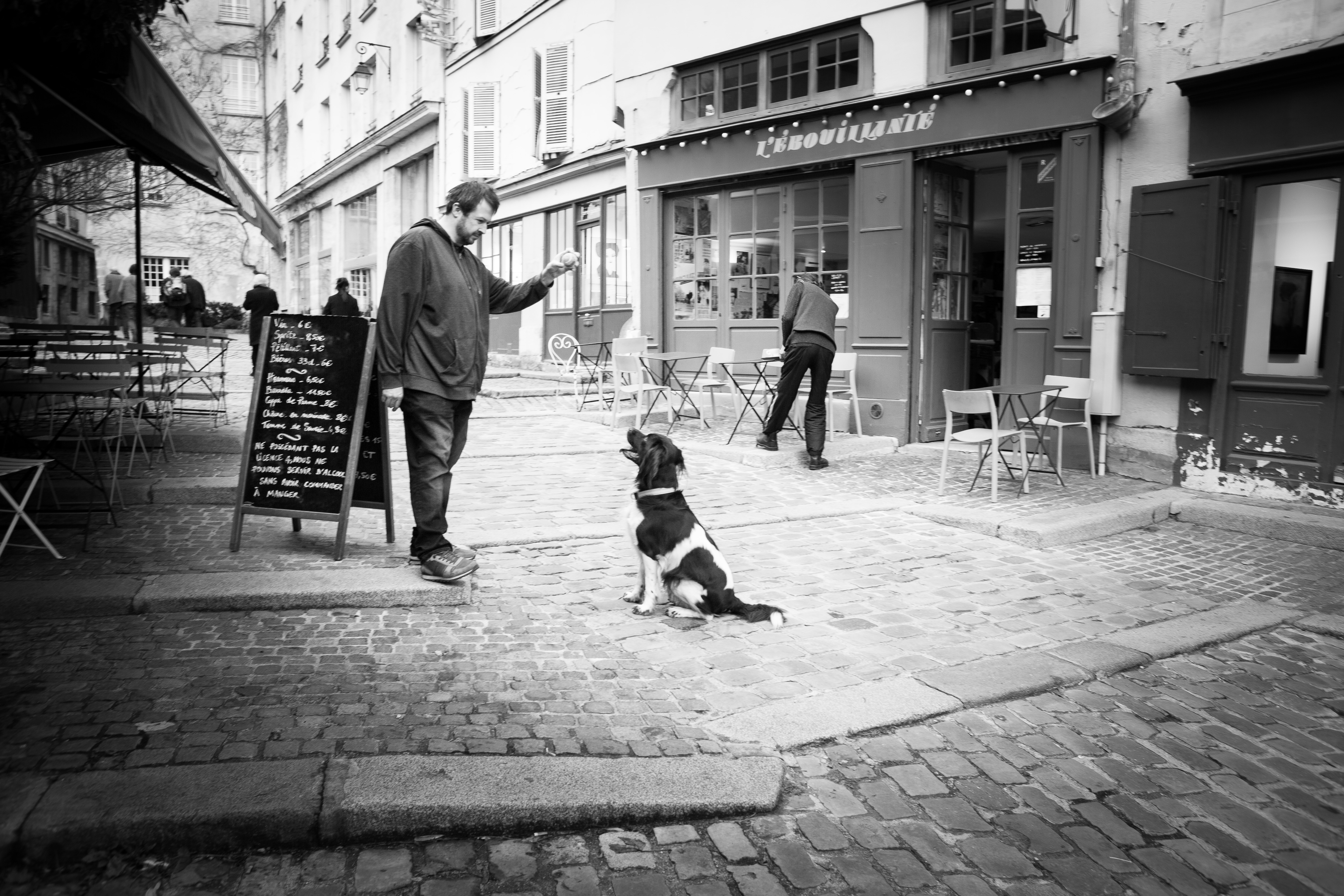 Reportage photo pour chat chien et animaux de compagnie, à Paris, Bourges, Montluçon