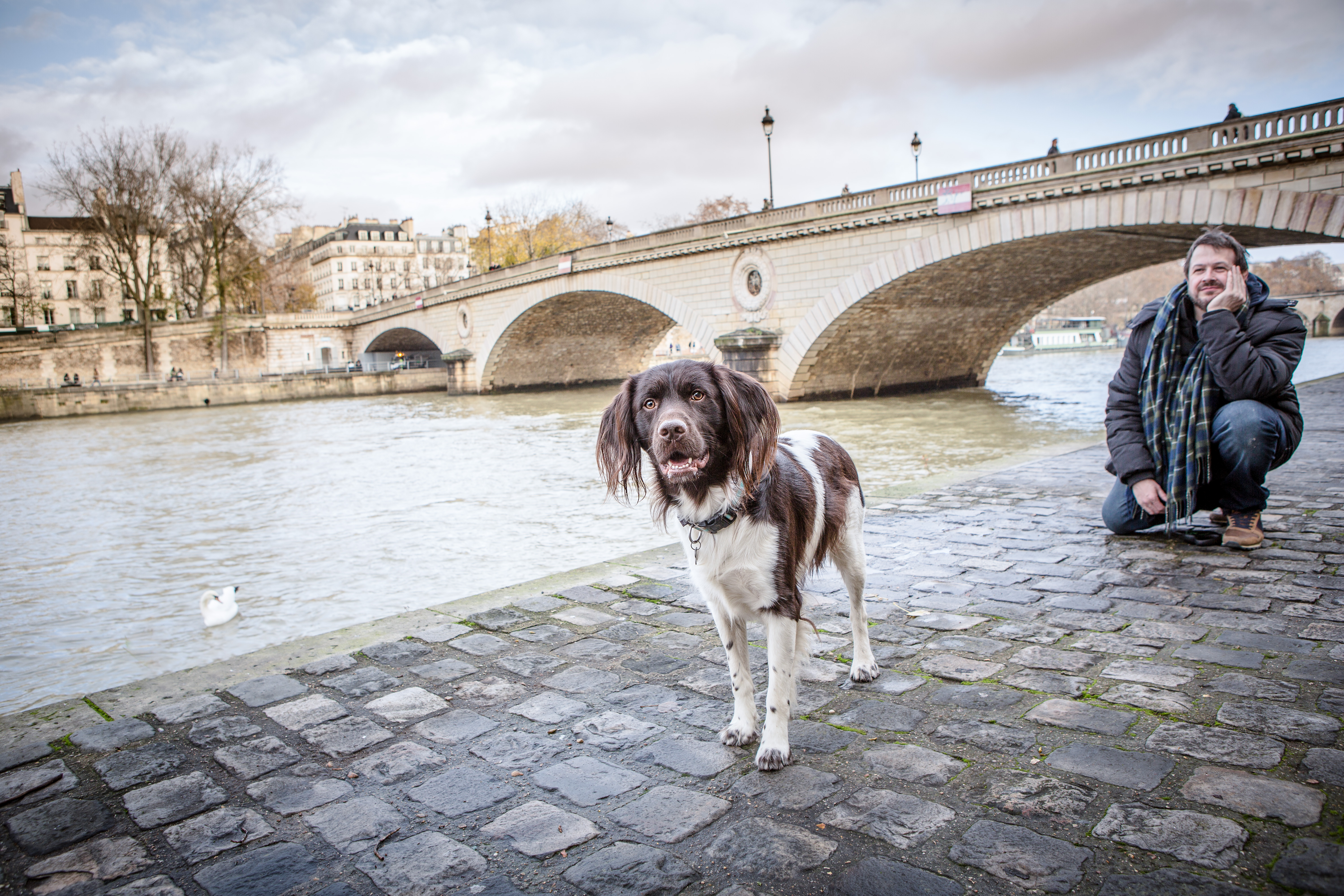 cadeau pour animaux de compagnie, shooting photo par photographe animalier Nathalie Tiennot