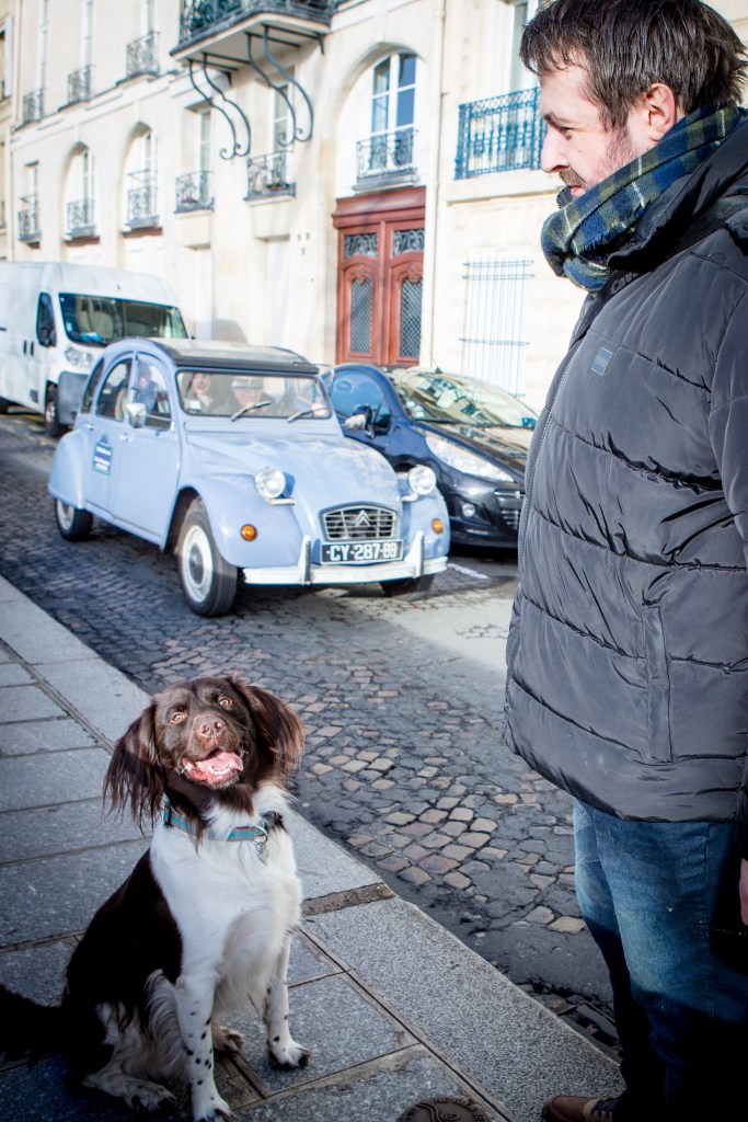 Shooting photo pour votre chien, avec votre chien