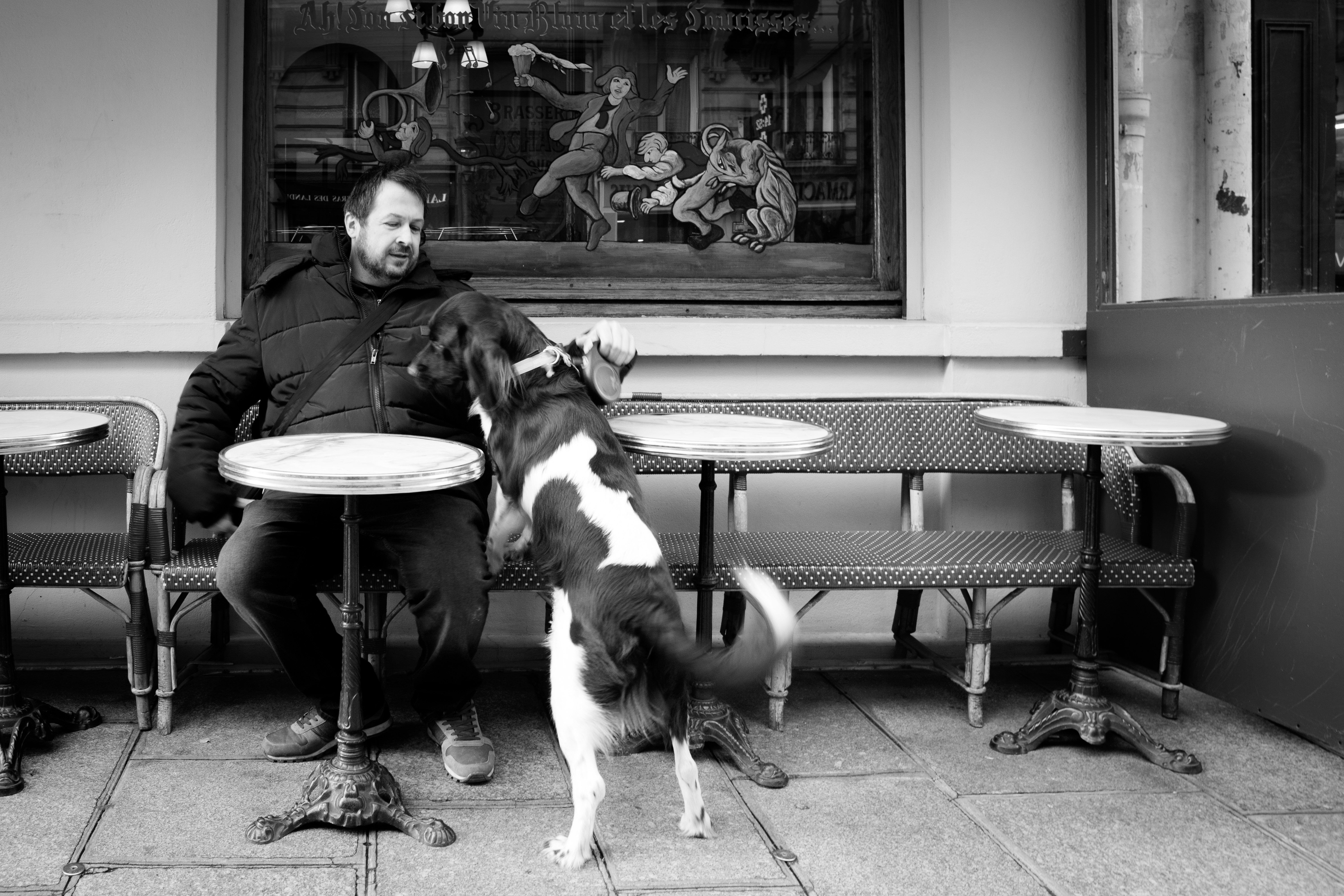 Reportage photo pour chien en noir et blanc Nathalie Tiennot, le muzographe