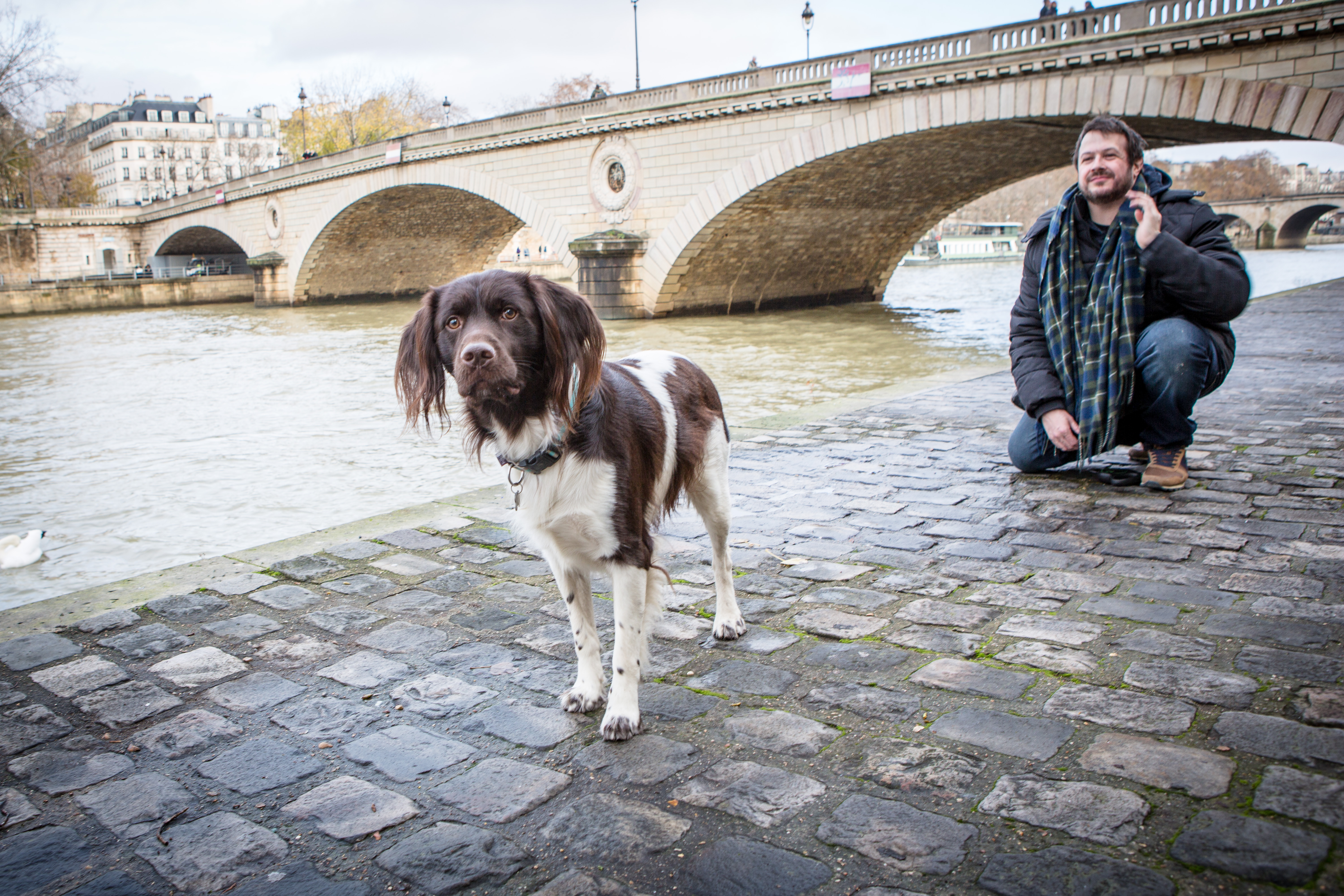 Shooting photo cadeau pour chien, Noël, Saint Valentin, fêtes des mères, par photographe canin