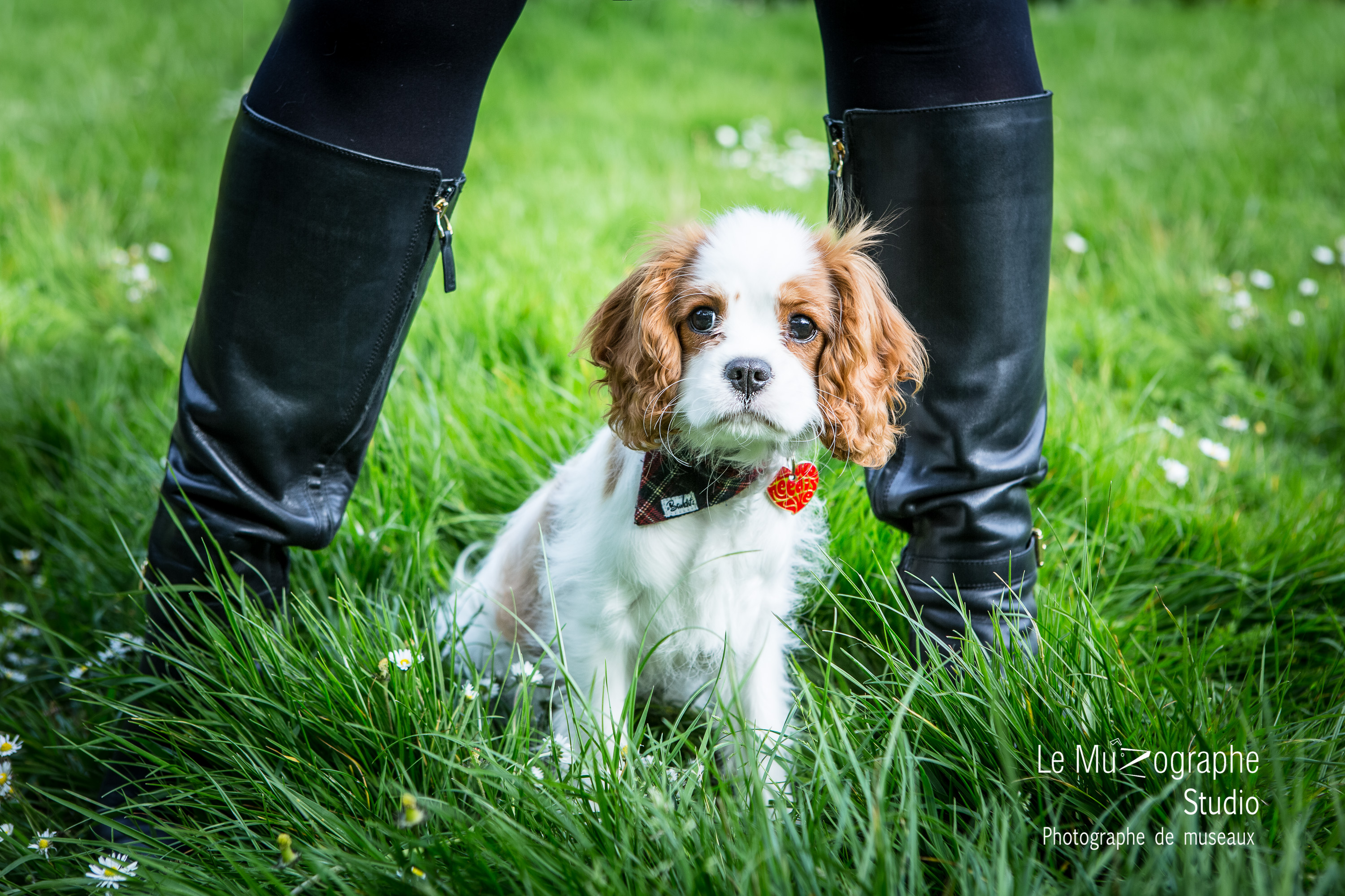 Shooting cadeau fêtes des mères, famille avec chien, Paris, région parisienne
