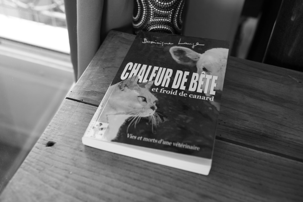 reportage photo pour animaux de compagnie à domicile à Paris