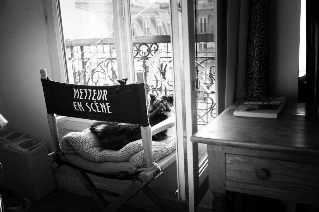 reportage photo pour lien humain et animal, paris